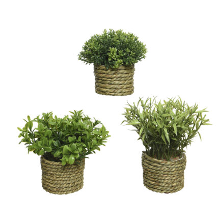 Planta articial de poliéster ø16x13cm cores / modelos diversos