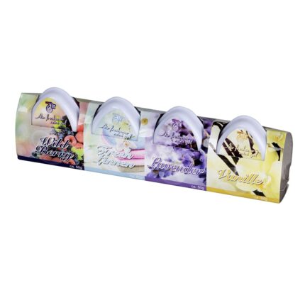 Pack de 4 ambientadores 50g fragrâncias sortidas
