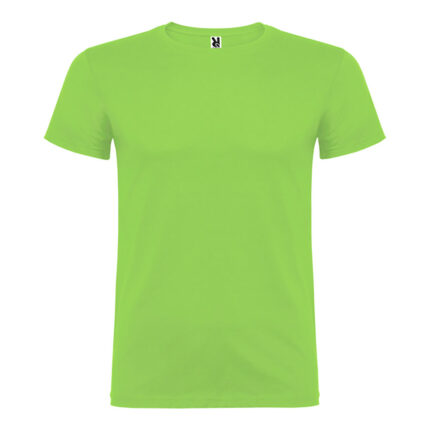 T-shirt beagle green oasis t.2xl