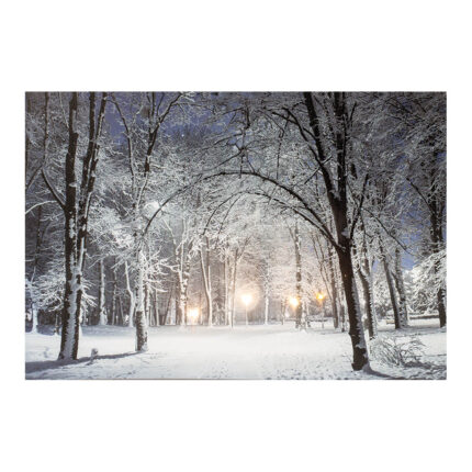 Quadro led paisagens nevadas 58x1,5x38cm 6 leds 2 modelos sortidos